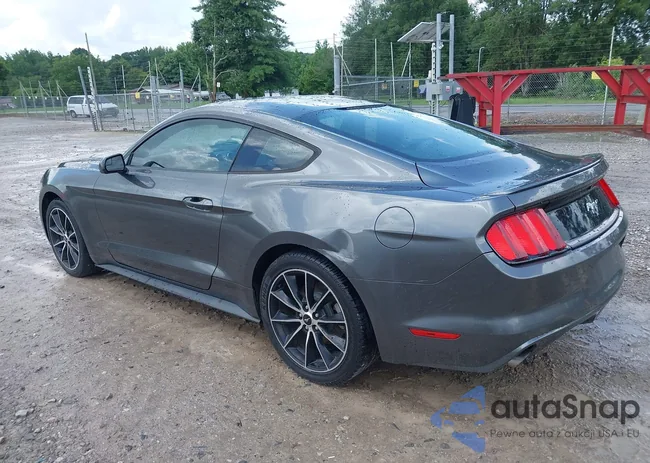 1FA6P8TH0F5429601: 42534749