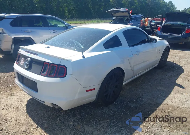 1ZVBP8AM4E5282462: 42534308