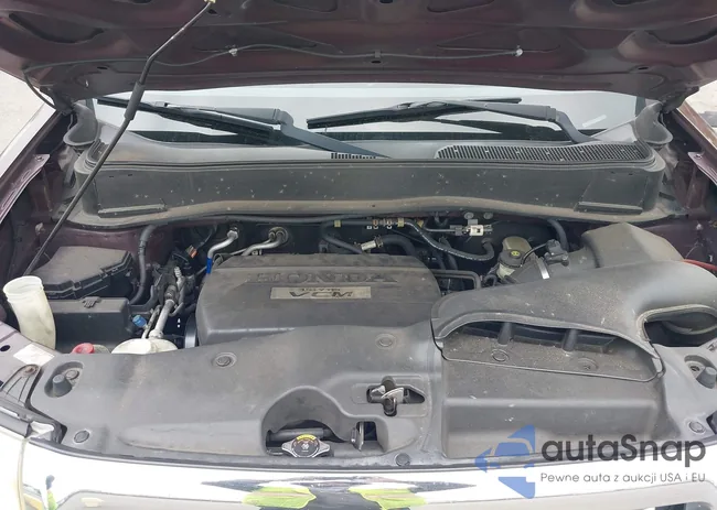 5FNYF48569B048092: 42536077