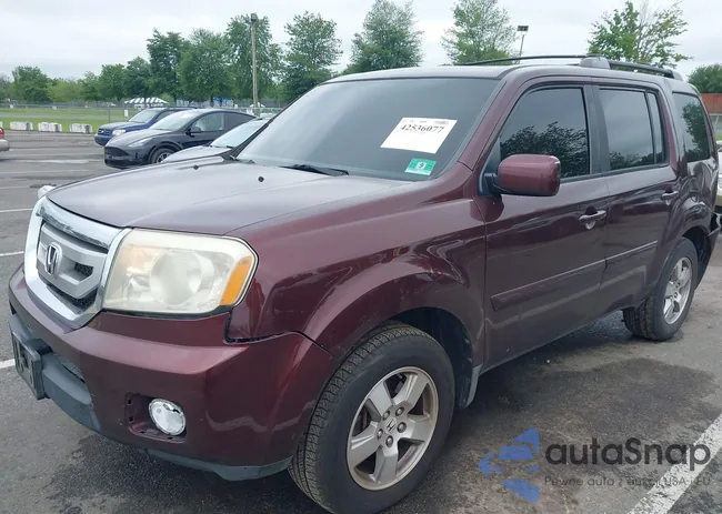 5FNYF48569B048092: 42536077