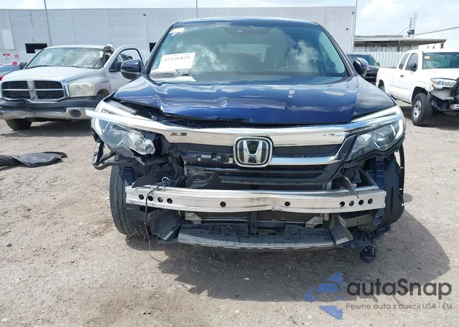 5FNYF5H55MB004194: 42536829