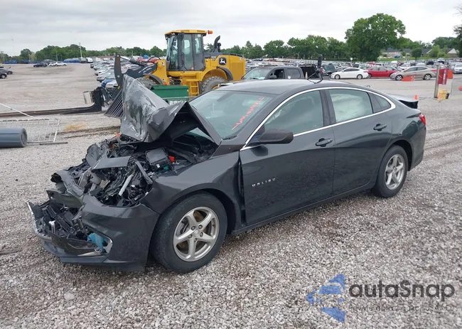 1G1ZB5ST8JF119430: 42537531