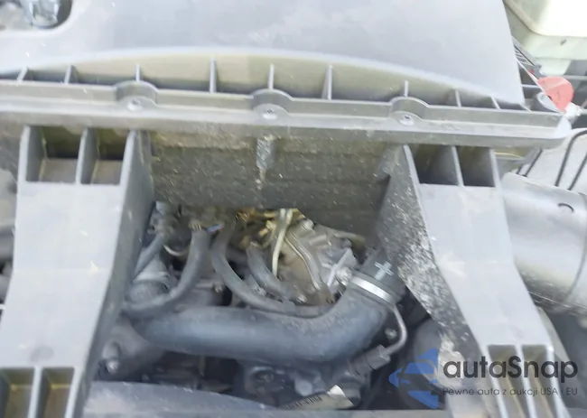 WD3PE8CB2B5587037: 42538993