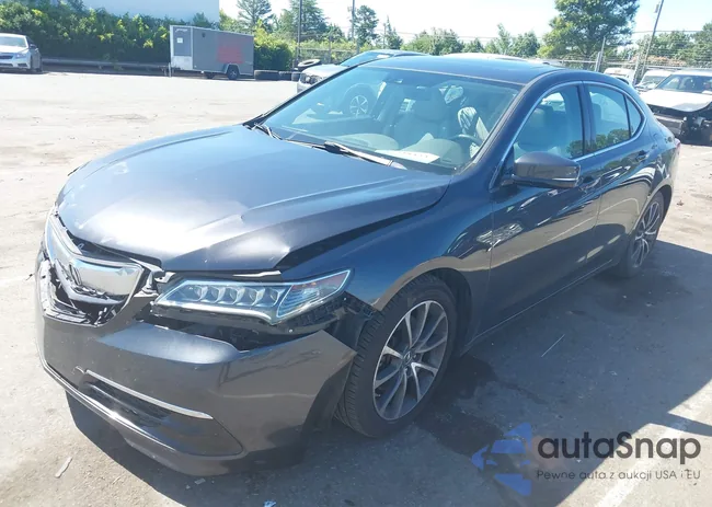 19UUB2F58FA010063: 42538453