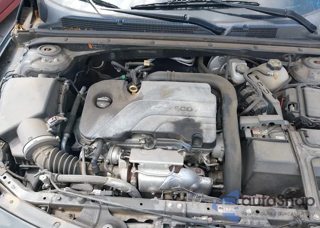 1G1ZB5ST4JF106500: 42539901