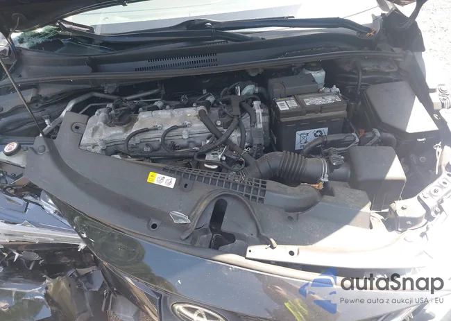 5YFEPRAEXLP109141: 42539975