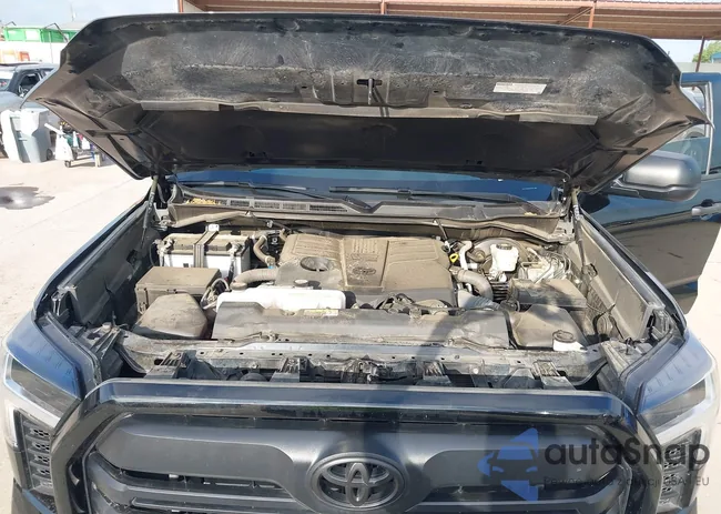 5TFLA5DB8PX080295: 42540053