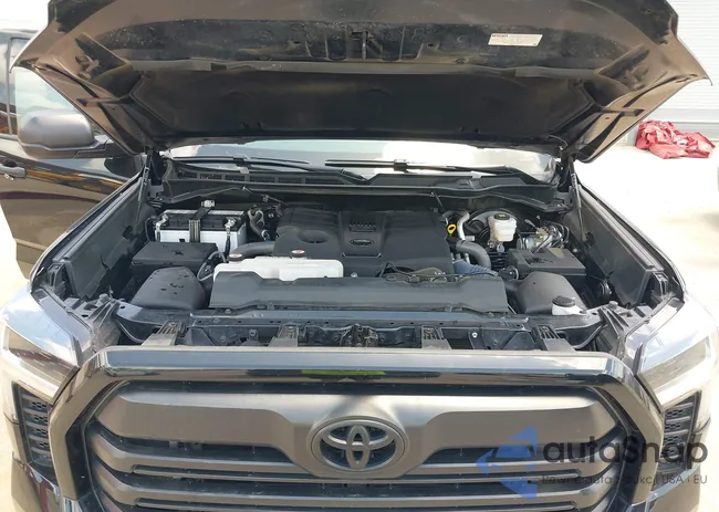 5TFLA5DB8PX080295: 42540053