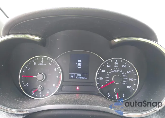 KNAFX4A89F5266207: 42540624