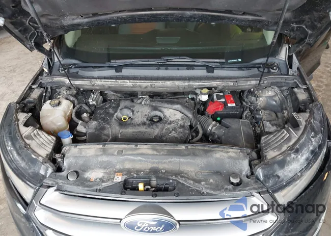 2FMPK4J92JBB78517: 42541753