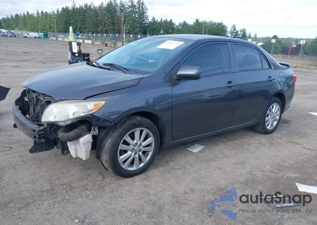 1NXBU40E29Z062002: 42541771