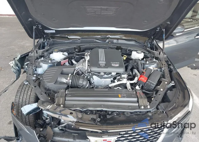 1G6DF5RK7S0113175: 42541874