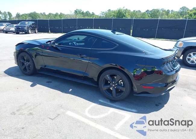 1FA6P8CF9N5131979: 42542870