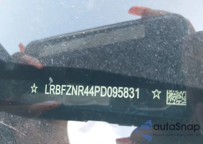 LRBFZNR44PD095831: 42543074