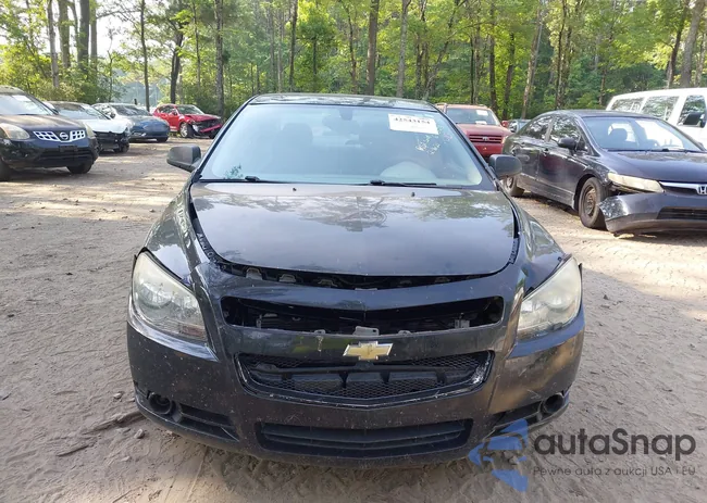 1G1ZB5E02CF280456: 42543154