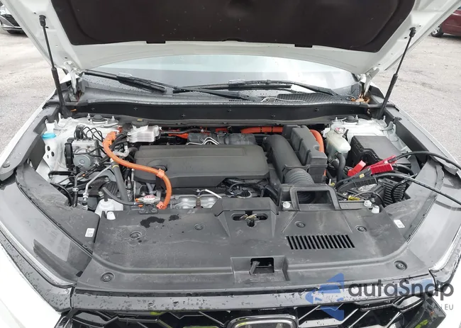 7FARS5H54RE004781: 42543520