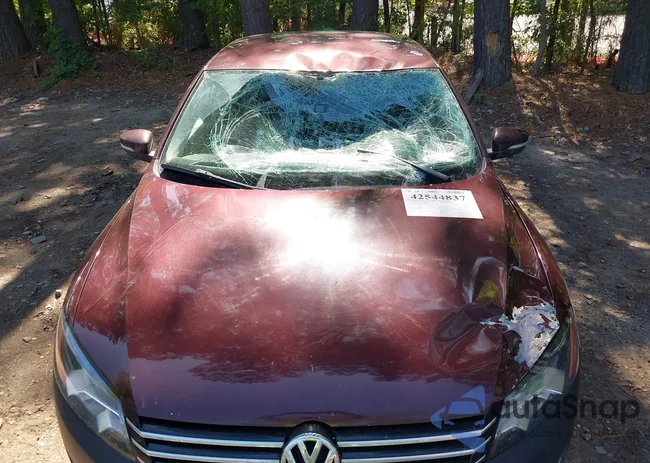 1VWBP7A39DC034137: 42544837