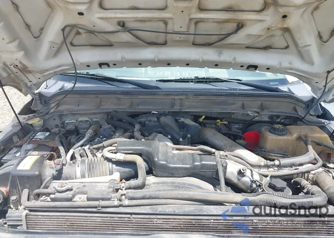 1FT7X2AT3BEC33228: 42545154