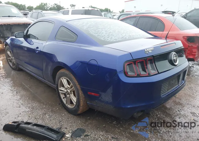 1ZVBP8AM4E5270246: 42545302