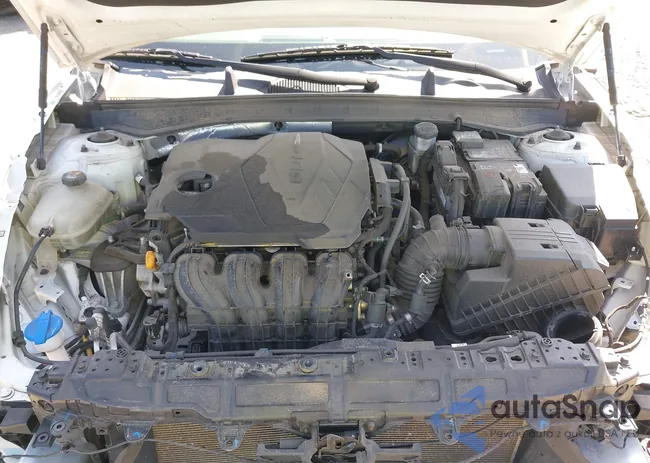 5NPEG4JA5LH044986: 42546797