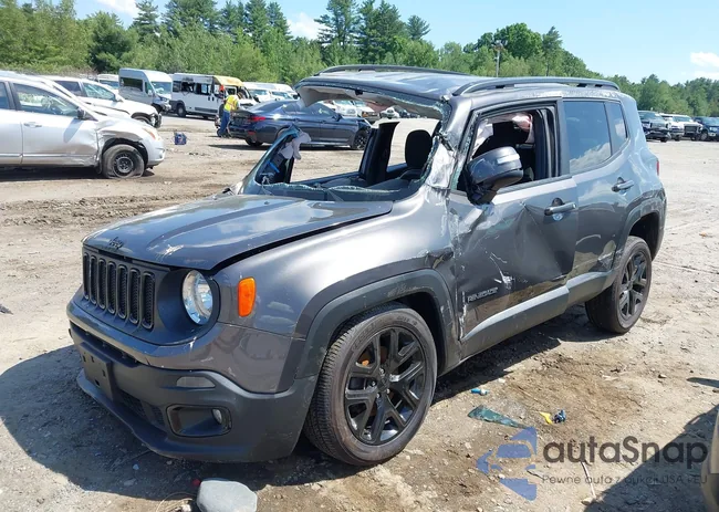 ZACCJBBB6JPG73732: 42549052