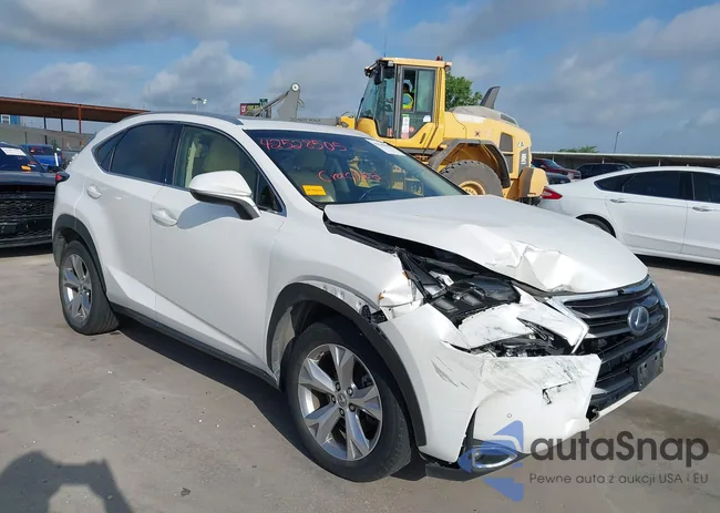 JTJBJRBZ8H2063205: 42548505