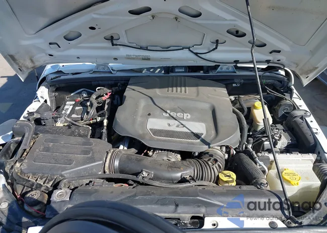 1C4HJWDG1FL528681: 42549556