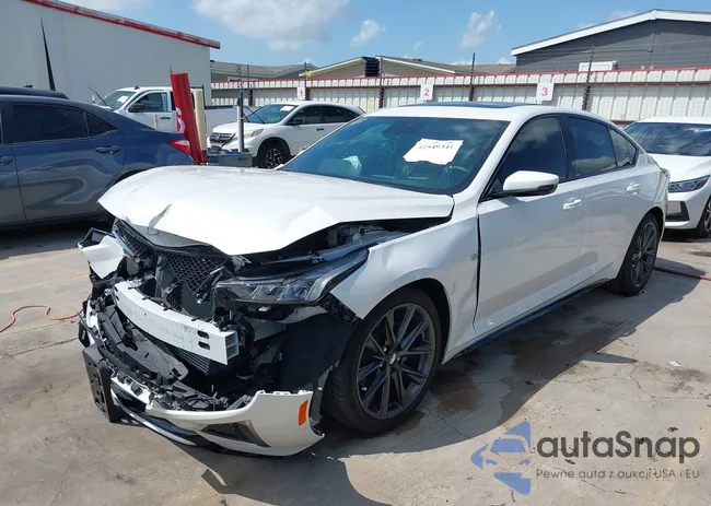 1G6DP5RKXR0119799: 42549341