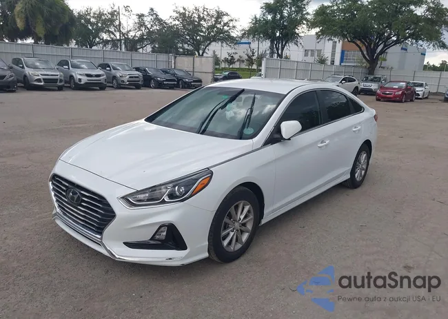 5NPE24AF2KH760592: 42550563