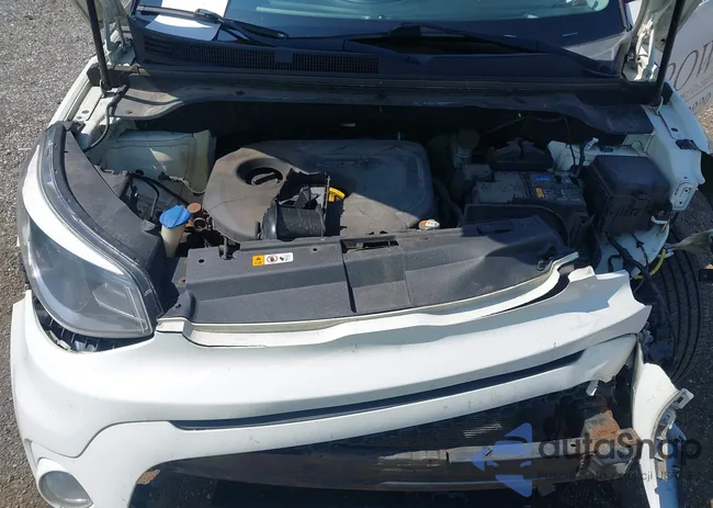 KNDJP3A52K7668498: 42551908