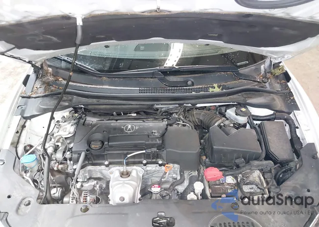 19UDE2F7XKA001058: 42552019