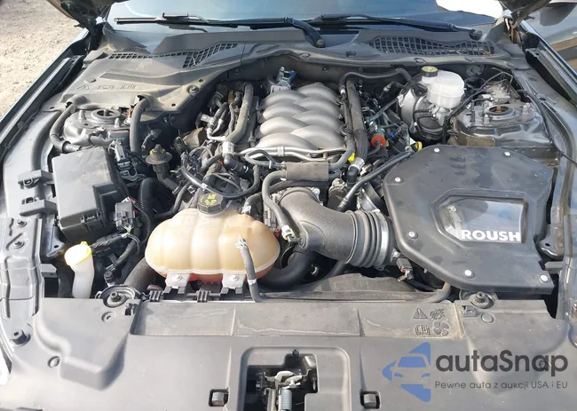 1FA6P8CF5K5199773: 42551248