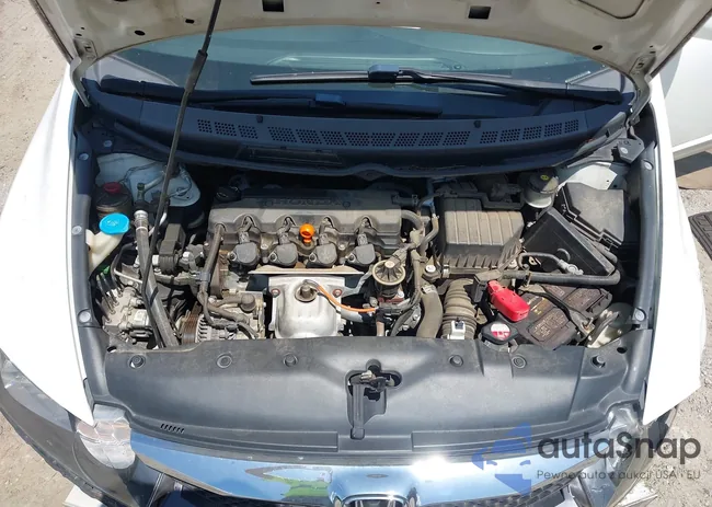 2HGFA16569H360559: 42551255