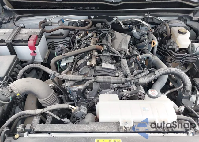 3TYKB5FN8RT006646: 42552787