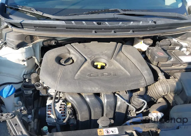 KNAFX4A80G5481444: 42552950