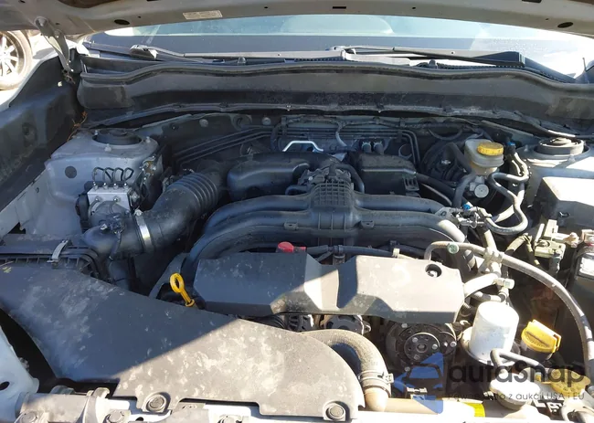 JF2SJAMC2EH548849: 42552396