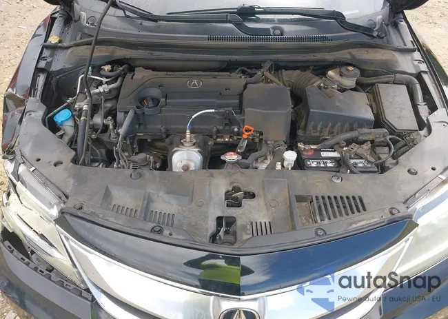 19UDE2F70GA005031: 42553856