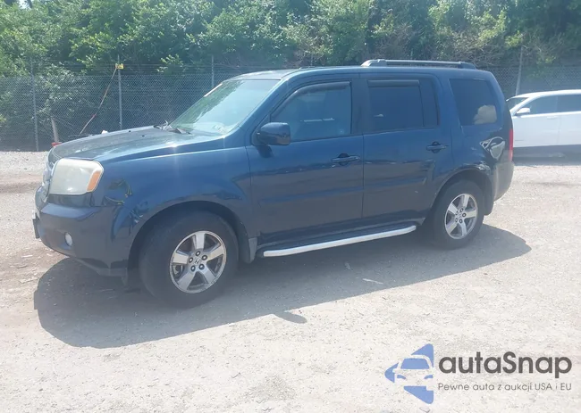 5FNYF4H62BB006212: 42554738