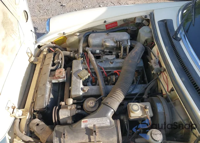 ZARBA5414B1012645: 42554772