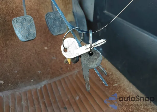 ZARBA5414B1012645: 42554772