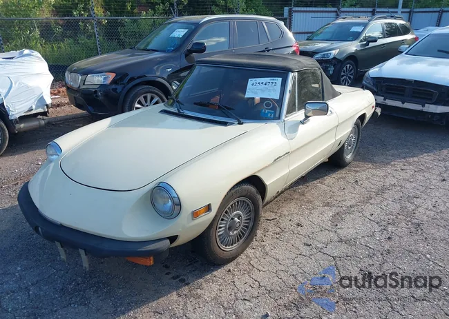 ZARBA5414B1012645: 42554772