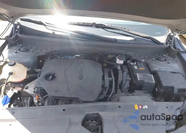 5NTJC4AE4NH037352: 42554536