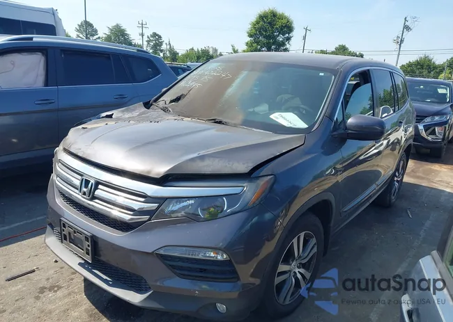 5FNYF5H31JB019575: 42555954