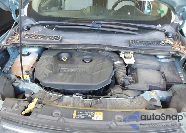 1FMCU0G9XDUC52466: 42556676