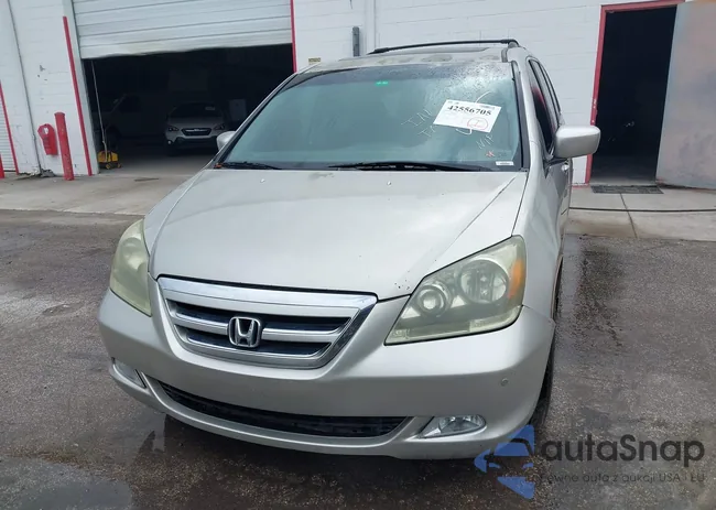 5FNRL38845B040309: 42556705