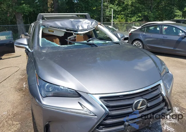 JTJBARBZ2G2056989: 42556891