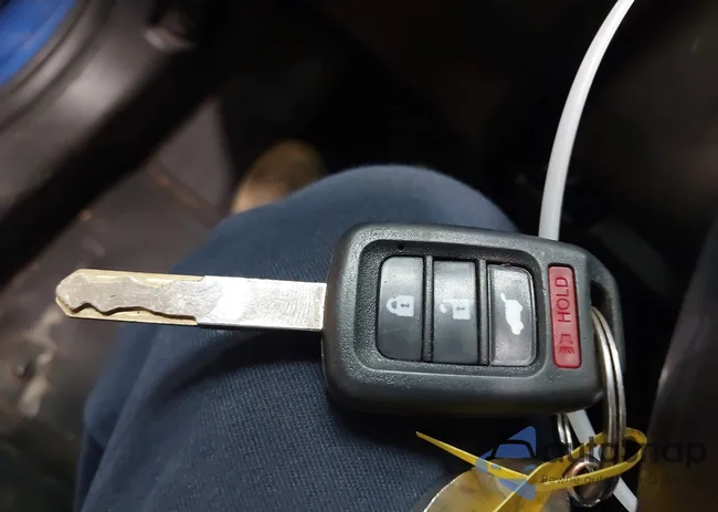 JHMGK5H59HS010532: 42556916