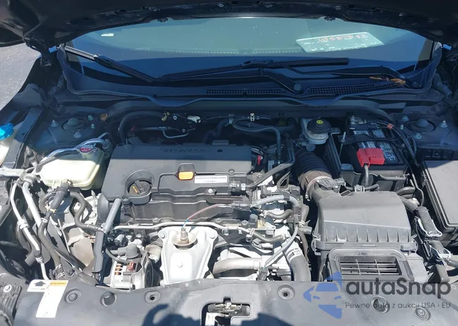 19XFC2F82LE203316: 42557833