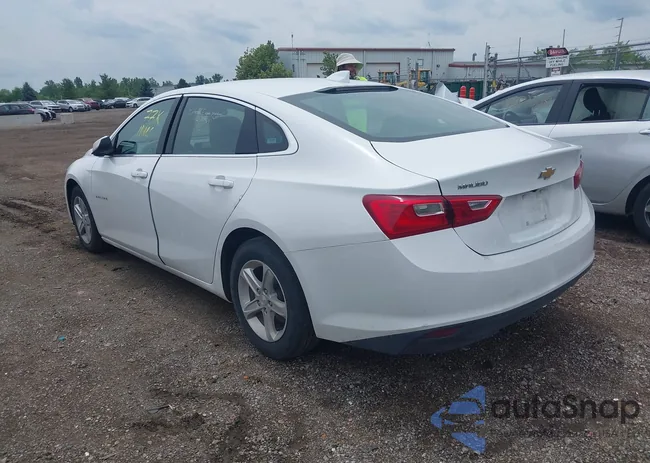 1G1ZD5ST1PF169475: 42557881