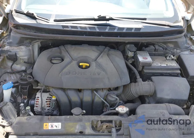 5NPDH4AEXDH426797: 42558041